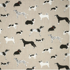 145414-0001 Fetch Bone